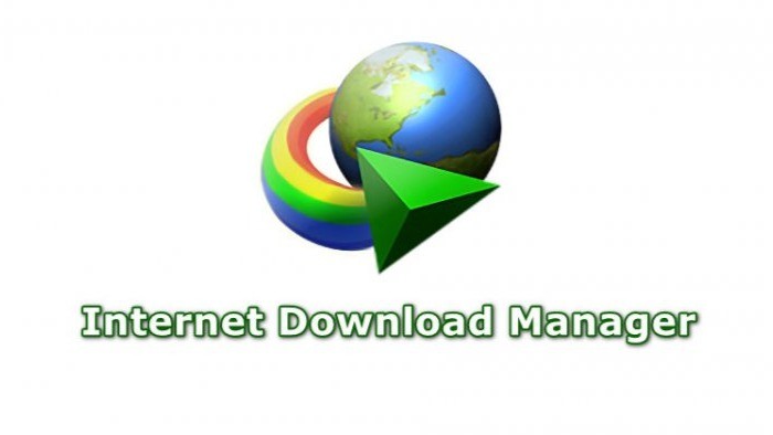 IDM Interface